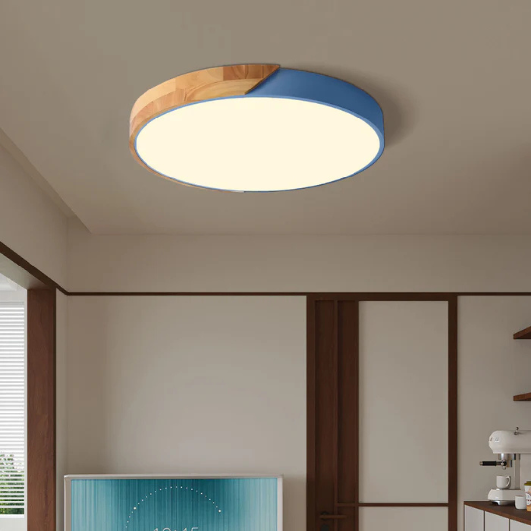 Houten Plafondlamp LED Scandinavisch Design Warmwit Licht Rond Acryl Natuurhout Plafondverlichting Woonkamer