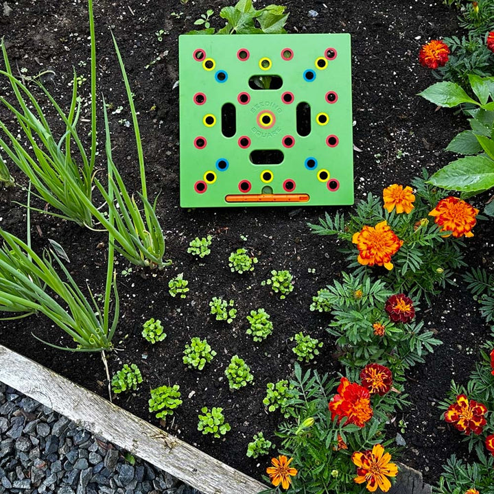 Zaaisjabloon voor Moestuin - Plantafstand Hulpmiddel voor Groenten & Kruiden - 30x30 cm Zaaisjabloon Tuin met Handleiding