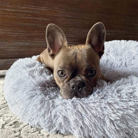 Rond Huisdiermand met Verhoogde Rand Pluche Slaapplaats Hond Kat Comfort Nest Zacht Kussen Warm Bed Rustplek