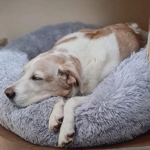Rond Huisdiermand met Verhoogde Rand Pluche Slaapplaats Hond Kat Comfort Nest Zacht Kussen Warm Bed Rustplek