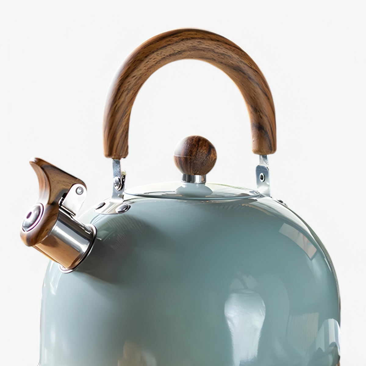 Fluitketel voor Inductie 2,5L - Elegante RVS Waterketel met Veilig Handvat