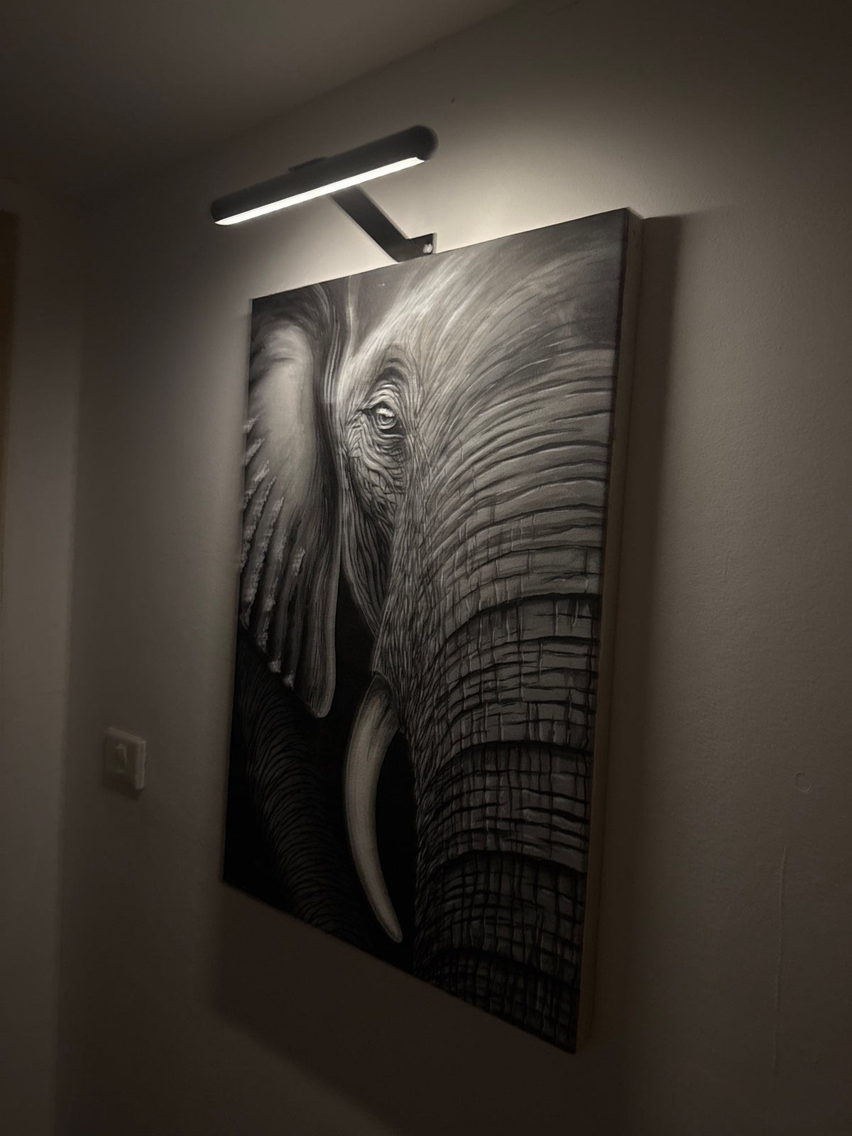 Draadloze LED Schilderijverlichting - Oplaadbare Wandlamp voor Kunst & Foto’s