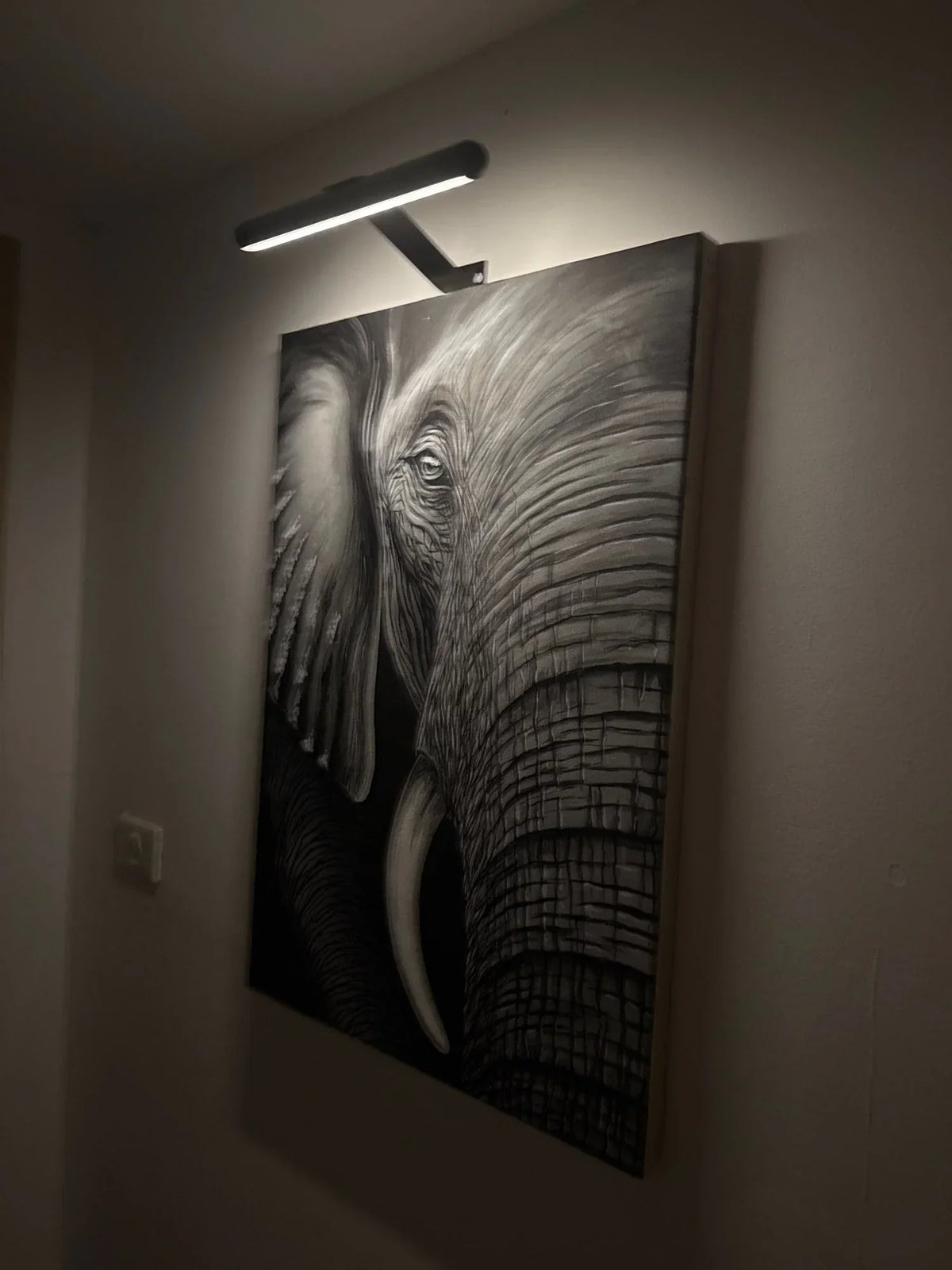 Draadloze LED wandlamp dimbaar 360° verstelbaar voor kunst schilderijen en foto's zwart wit goud accentverlichting