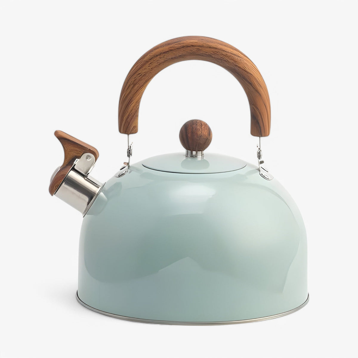 Fluitketel voor Inductie 2,5L - Elegante RVS Waterketel met Veilig Handvat