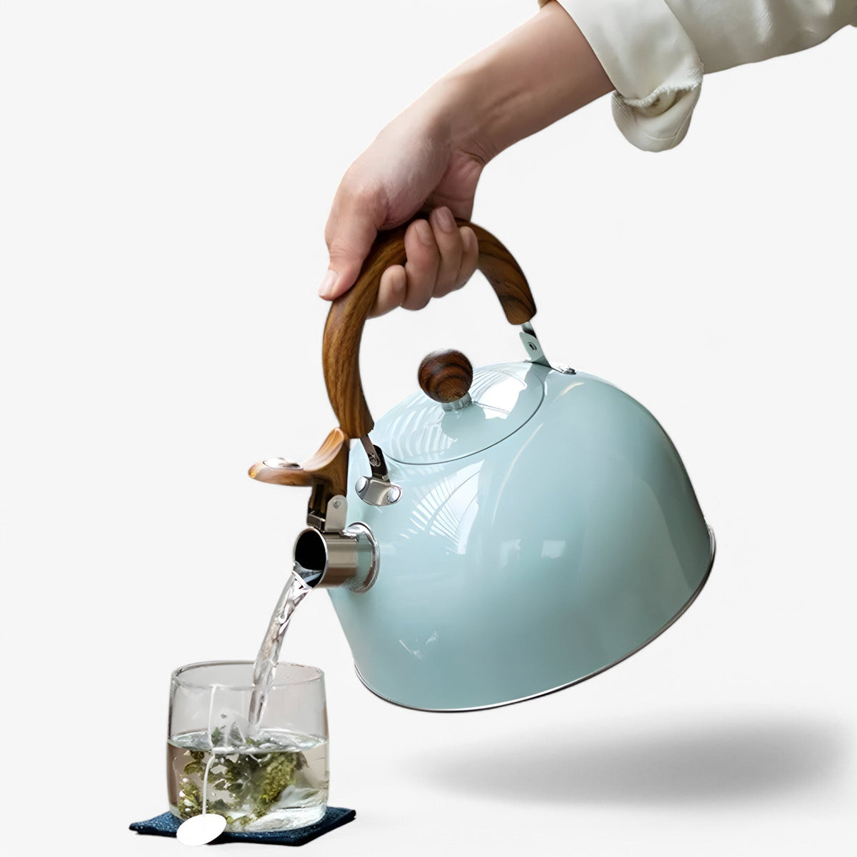 Fluitketel voor Inductie 2,5L - Elegante RVS Waterketel met Veilig Handvat