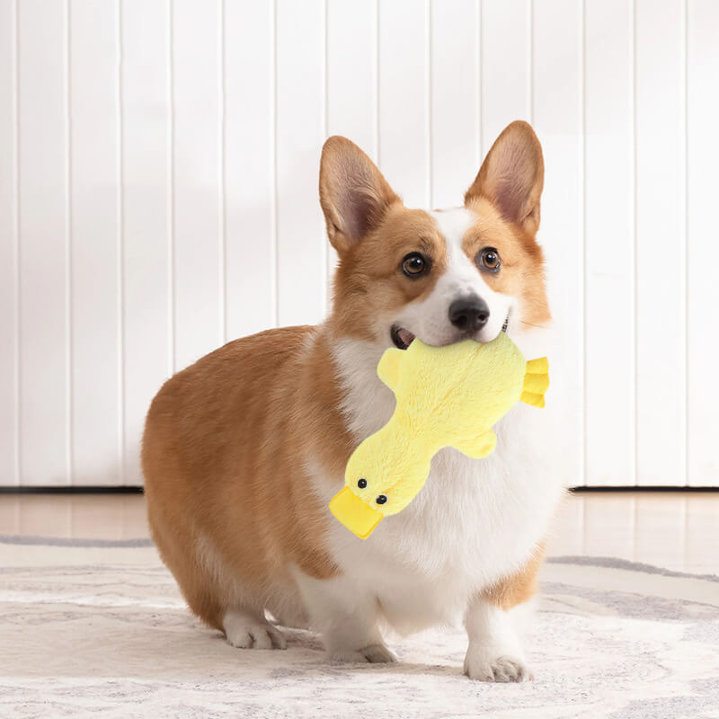 Pluche Eendje Hondenspeelgoed met Pieper Knuffelvriend Zachte Hondenkuuffel Interactief Speelgoed voor Honden