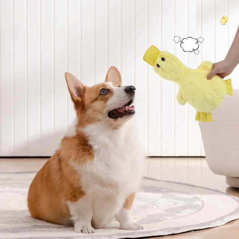Pluche Eendje Hondenspeelgoed met Pieper Knuffelvriend Zachte Hondenkuuffel Interactief Speelgoed voor Honden