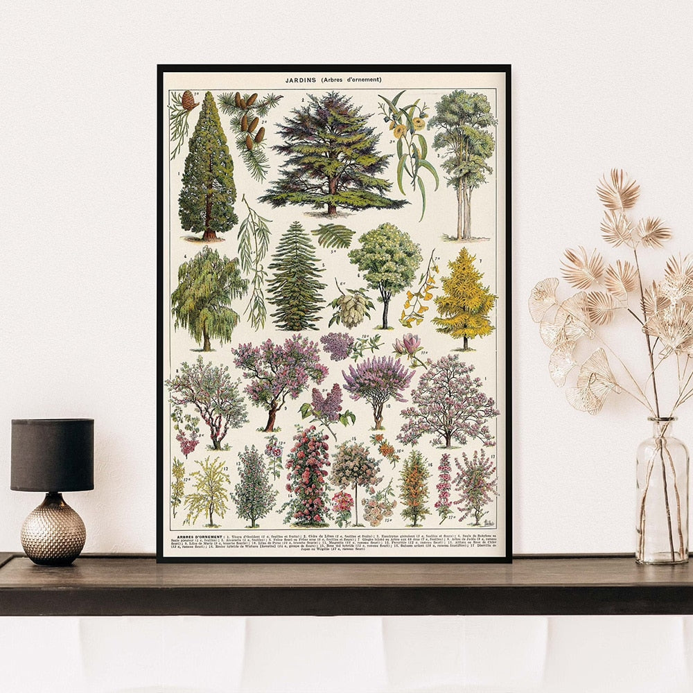 Vintage Botanische Prints Canvas Collectie - Klassieke Plantentekeningen Wanddecoratie