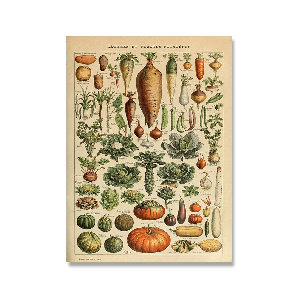 Vintage Botanische Prints Canvas Collectie - Klassieke Plantentekeningen Wanddecoratie