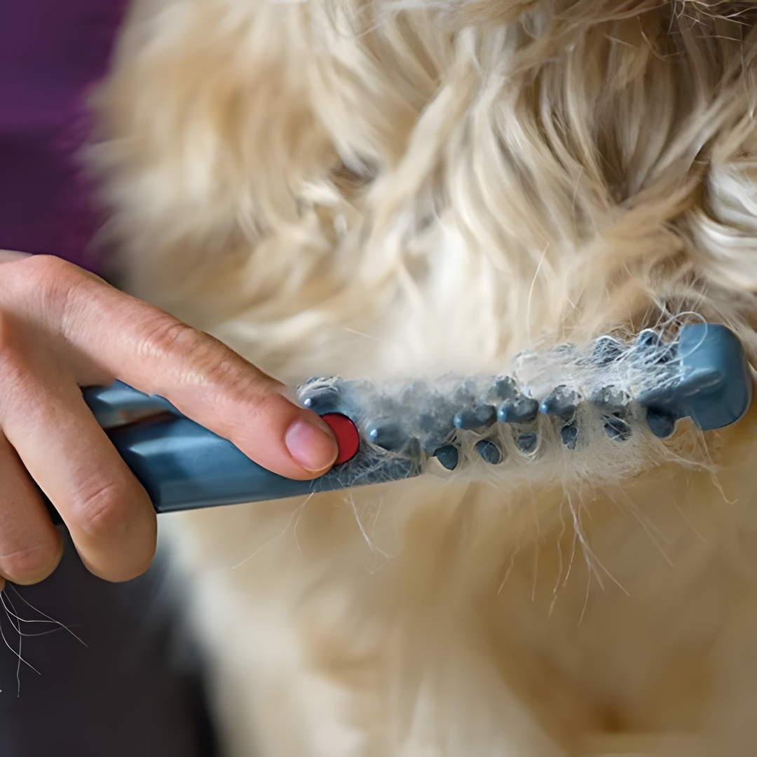 Huisdieren Ontklittool - Zachte Vachtverzorging Kat & Hond - Professionele Borstel tegen Klitten en Matten