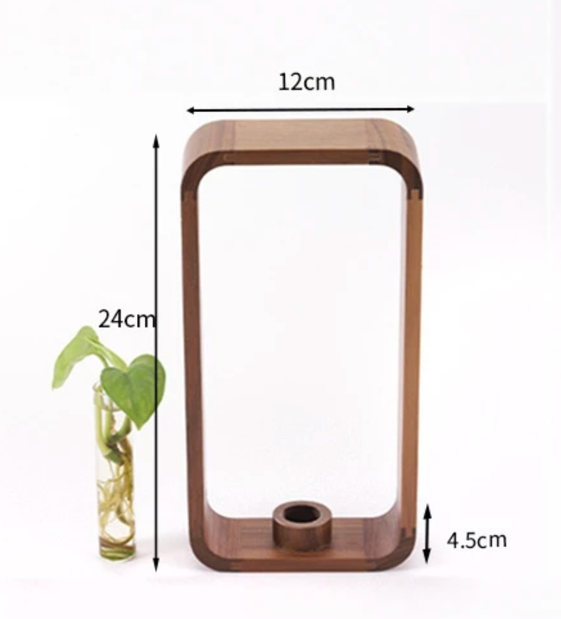 Glazen Vaas voor Stekjes met Houten Standaard - Decoratieve Propagator voor Planten