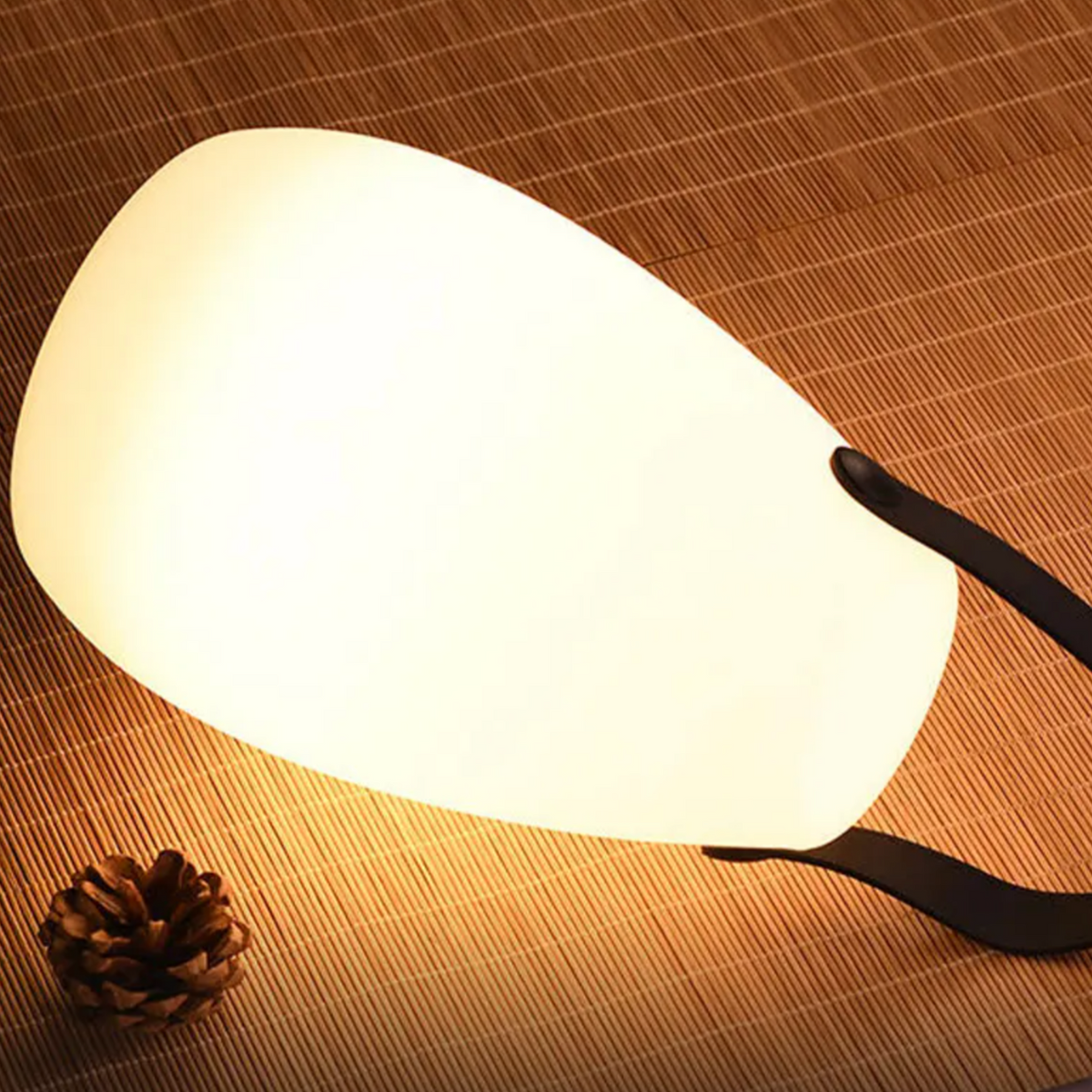 Draadloze Outdoor Lamp Oplaadbaar met Afstandsbediening | 8 Kleuren Dimbaar voor Tuin en Terras