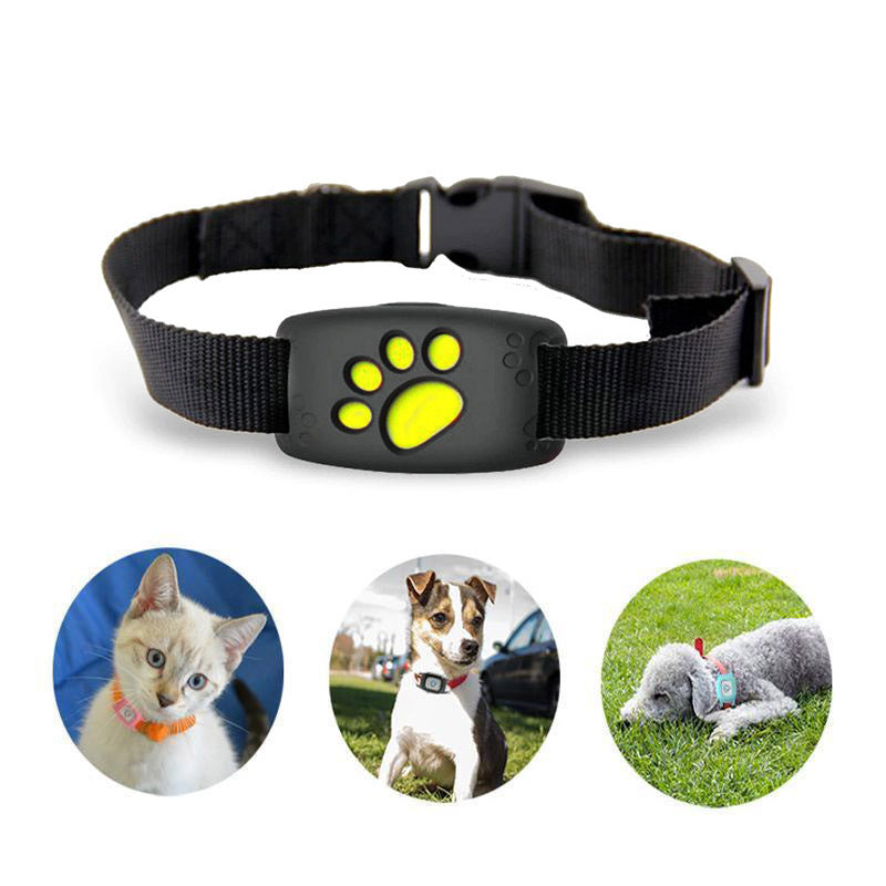 GPS-Halsband voor Katten en Kleine Honden - Realtime Locatietracking met Geo-Fencing en Waterdicht Ontwerp