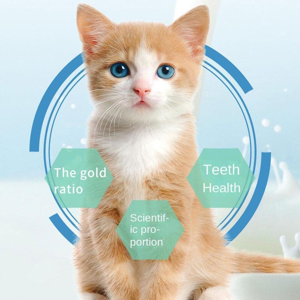 Natuurlijk Kattengras Kauwstick voor Gebit & Spijsvertering 6 Stuks Katten Speelgoed Tandverzorging Snack