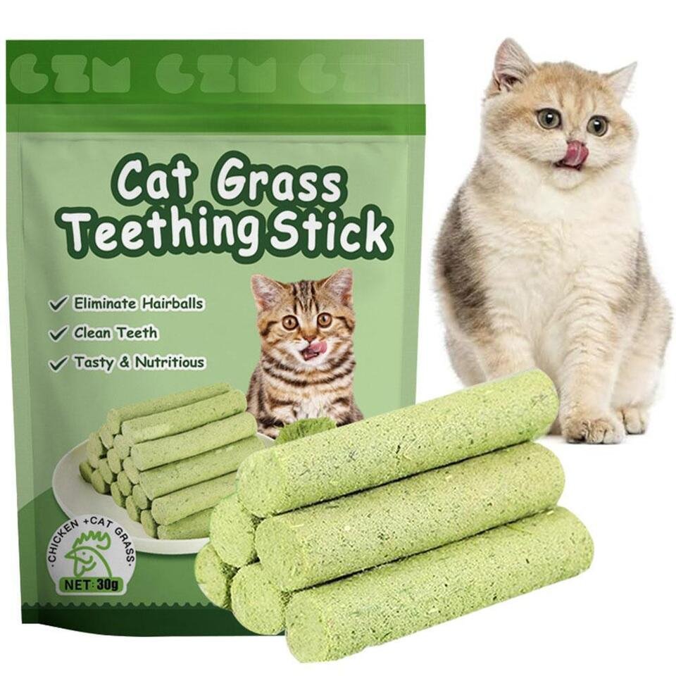Natuurlijk Kattengras Kauwstick voor Gebit & Spijsvertering 6 Stuks Katten Speelgoed Tandverzorging Snack