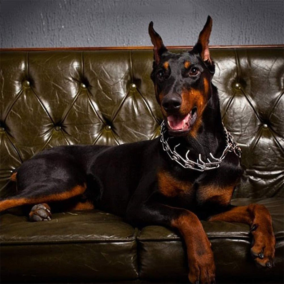 Verstelbare Trainingsband Hond met Gummi Punten Metalen Schakels Medium tot Groot Gedragstraining Opvoeding