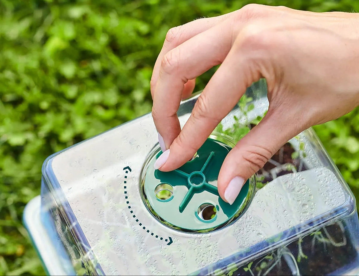 Zaaitray met Groeilamp LED voor Zaailingen en Stekjes Binnen Buiten Kweekbak Groeisysteem Tuinbouw Moestuin