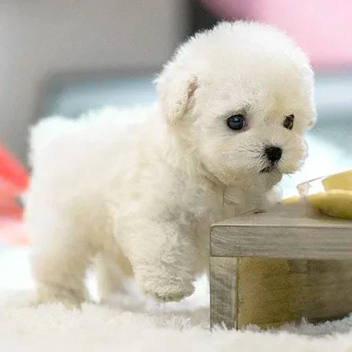 Robotpuppy Interactief Batterij Zachte Vacht Knuffeldier Kinderen Senioren Levensechte Puppy Gezelschapsspeelgoed