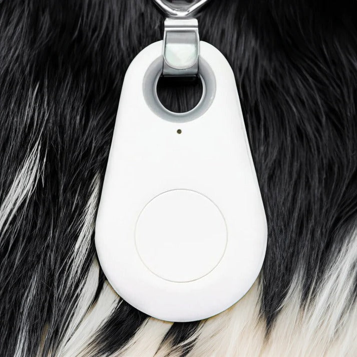Waterdichte GPS Tracker voor Huisdieren met Bluetooth en App Controle Realtime Locatie Honden Katten Veiligheid