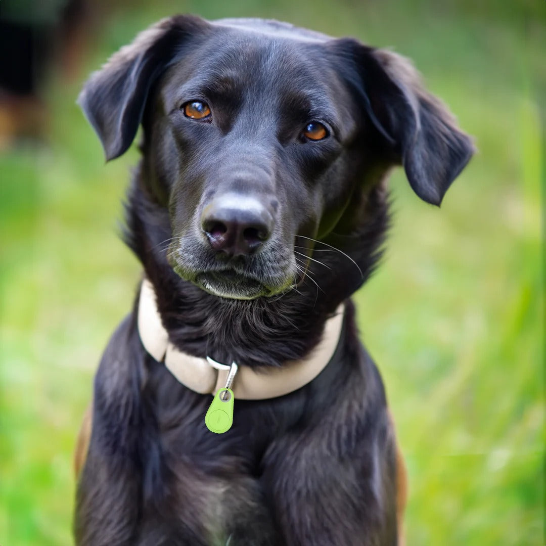 Waterdichte GPS Tracker voor Huisdieren met Bluetooth en App Controle Realtime Locatie Honden Katten Veiligheid