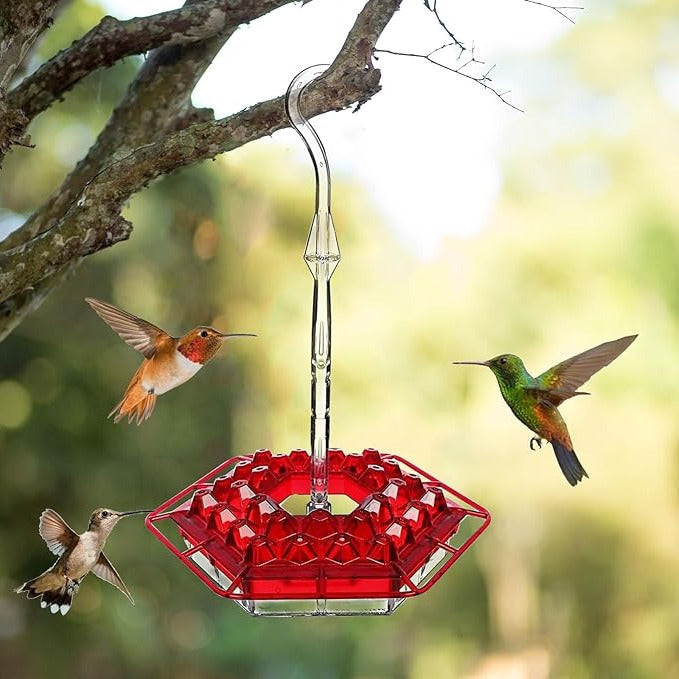 Kolibrivoederbak voor Buiten met Mierenafweer 30 Voedingsopeningen Hangend Vogelvoeder Tuindecoratie