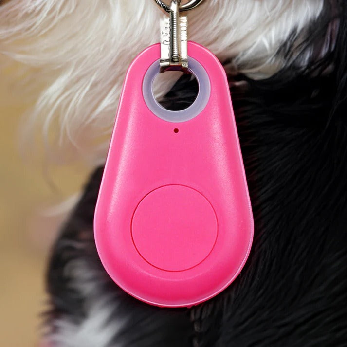 Waterdichte GPS Tracker voor Huisdieren met Bluetooth en App Controle Realtime Locatie Honden Katten Veiligheid