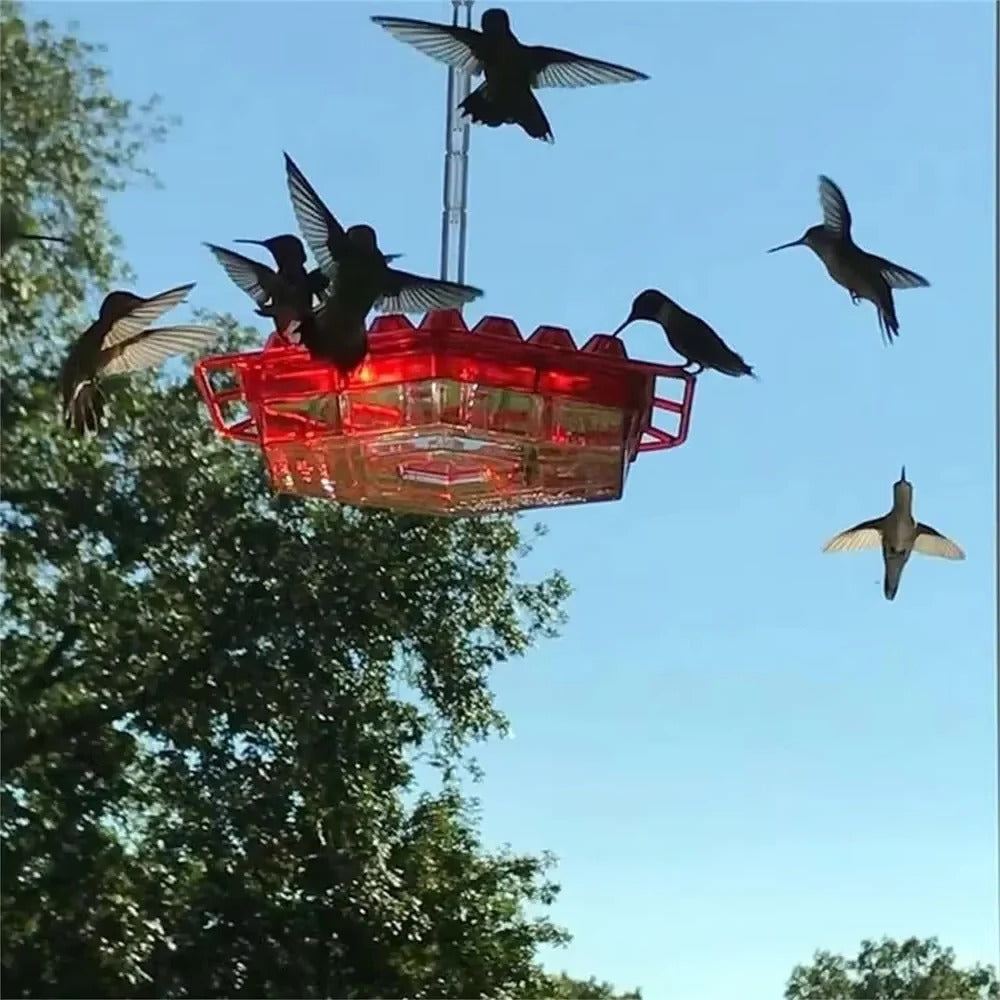 Kolibrivoederbak voor Buiten met Mierenafweer 30 Voedingsopeningen Hangend Vogelvoeder Tuindecoratie