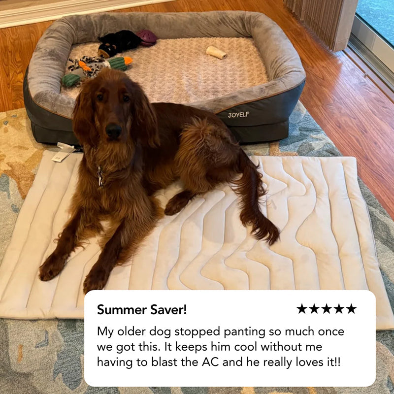 Koelmat Hond Zelfactiverend met Arc-Chill Technologie OEKO-TEX Gecertificeerd Verkoelend Comfort Huisdier
