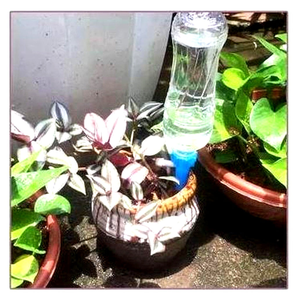 Automatische Watertoevoer Kegels met Instelbare Druppelsnelheid voor Kamerplanten en Bloempotten Vakantie
