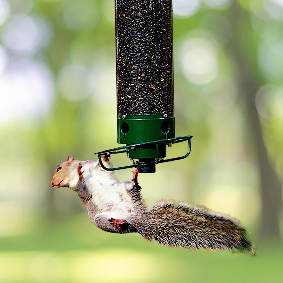 Vogelvoederstation met Roterende Zitrand en Vier Voederpoorten voor Wilde Vogels Tuinvogels Buitenvogels