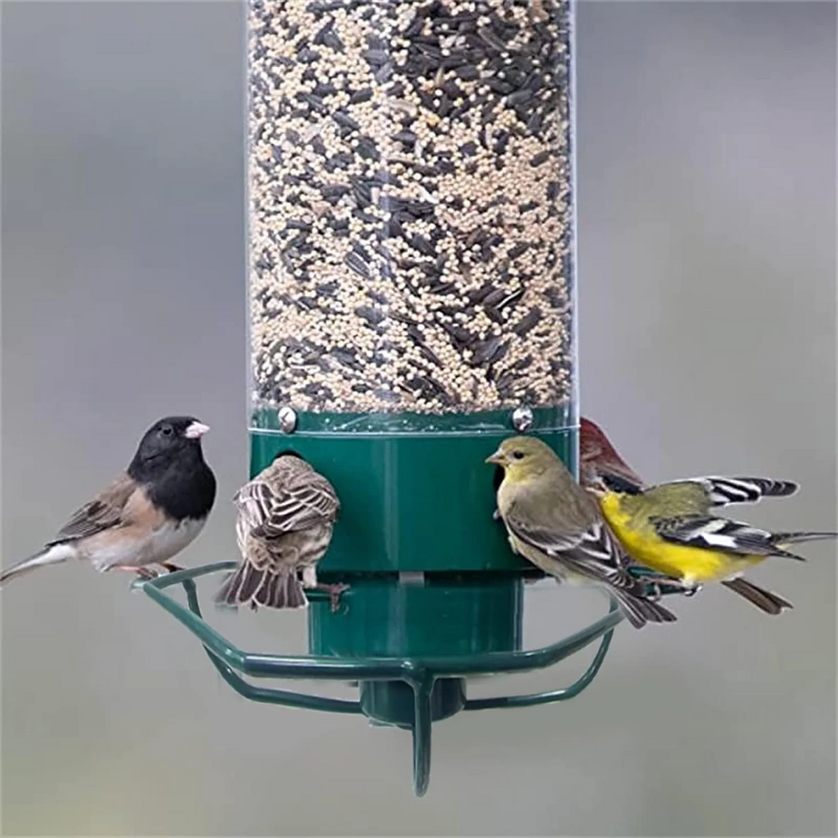 Vogelvoederstation met Roterende Zitrand en Vier Voederpoorten voor Wilde Vogels Tuinvogels Buitenvogels