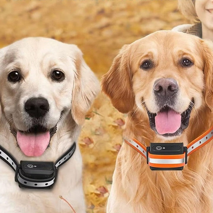 Trainingshalsband Hond 1000m Bereik 3 Modi Oplaadbaar Waterdicht IP67 voor Honden 5-50kg