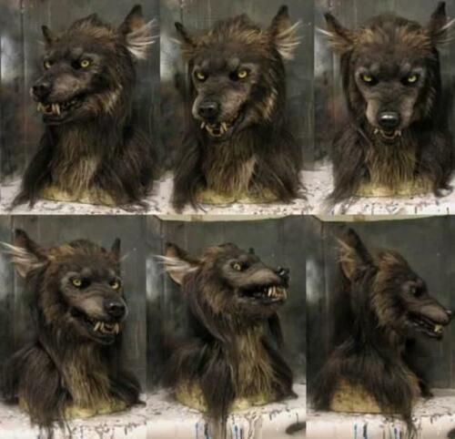 Weerwolf Masker Volledige Hoofdbedekking Latex voor Feesten Cosplay Horror Thema-evenementen Halloween