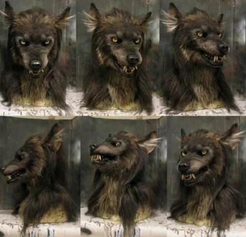 Weerwolf Masker Halloween Cosplay Party Carnaval Feestmasker Realistisch Siliconen Dierenmasker Verkleedkleding