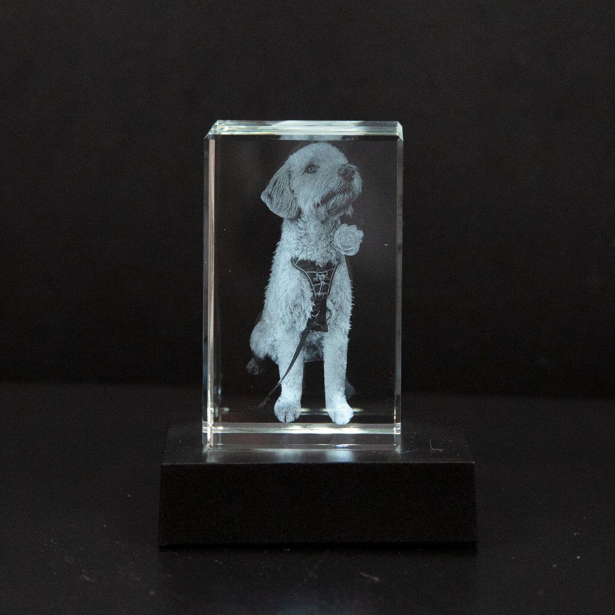 Gepersonaliseerd 2D/3D Kristal Gedenkkristal met Eigen Foto - Verlicht Herinneringsblok met Houten Voet