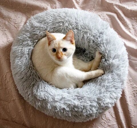 Rond Huisdiermand met Verhoogde Rand Pluche Slaapplaats Hond Kat Comfort Nest Zacht Kussen Warm Bed Rustplek