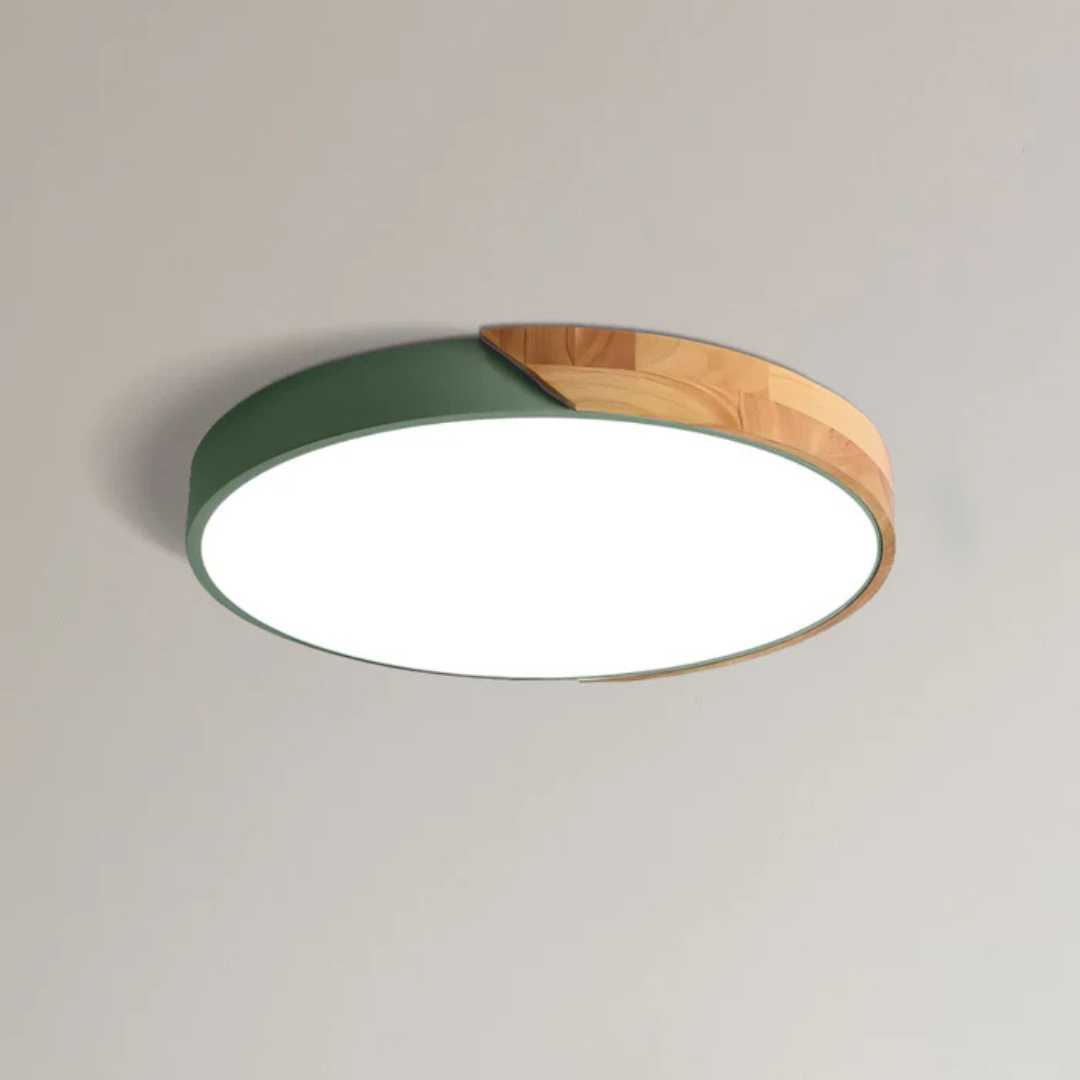 Houten Plafondlamp LED Scandinavisch Design Warmwit Licht Rond Acryl Natuurhout Plafondverlichting Woonkamer