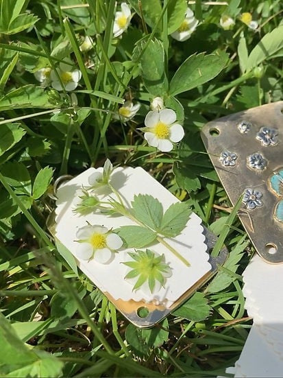 Mini Bloempers Compacte Botanische Herbarium Pers Draagbaar Bloemen Drogen Handwerk Tool Bladeren Persen Natuurbewaartool