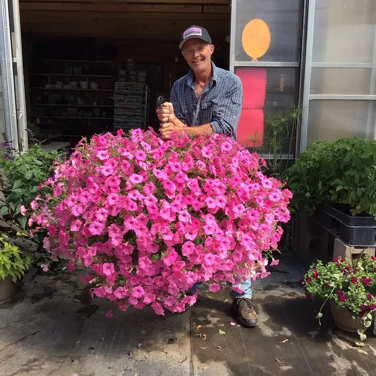 Hangende Kunstbloemen in Rieten Mand Zijde Kunststof UV-Bestendig voor Binnen Buiten Tuin Balkon Decoratie