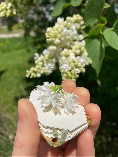 Mini Bloemenpers Compacte Botanische Droogpers Draagbare Herbarium Pers Natuurlijke Bladeren Bewaren