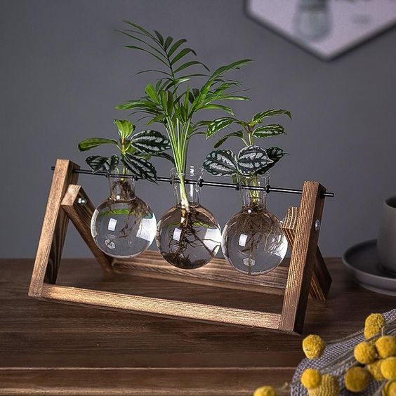 Plantenpropagator Standaard Hout & Glas Stekhouder Vintage Stijl voor Kamerplanten