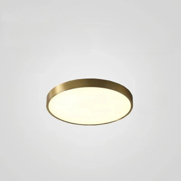 Ronde Plafondlamp Multicolor LED Ultradun 23-60cm Dimbaar Afstandsbediening Woonkamer Slaapkamer Studeerkamer