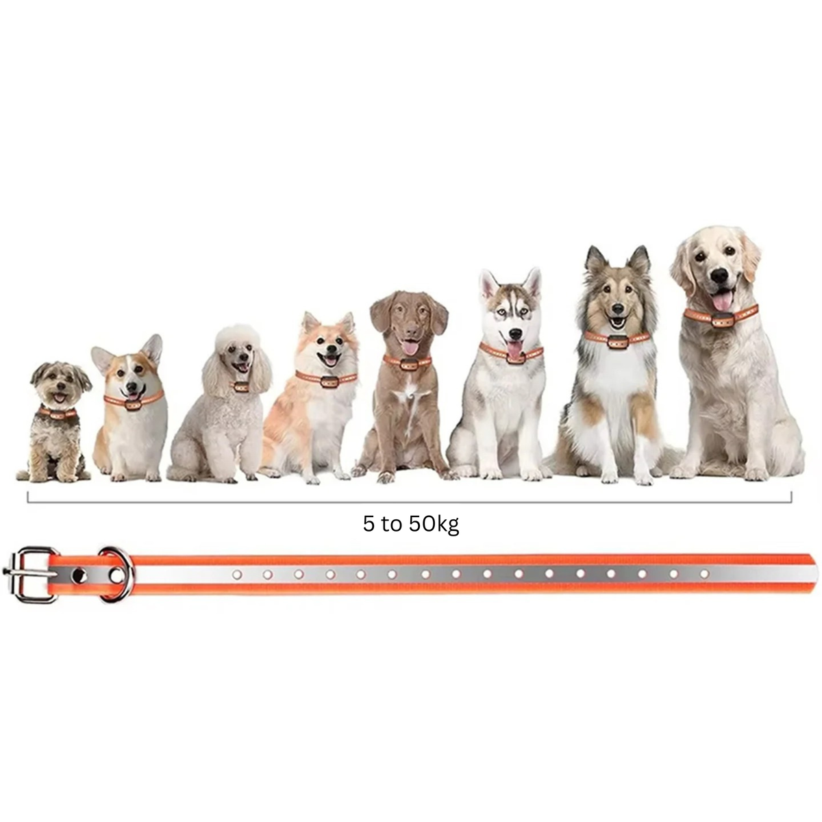 Trainingshalsband Hond 1000m Bereik 3 Modi Oplaadbaar Waterdicht IP67 voor Honden 5-50kg