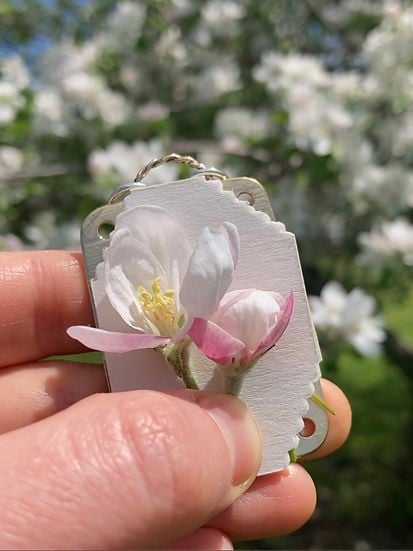 Mini Bloemenpers Compacte Botanische Droogpers Draagbare Herbarium Pers Natuurlijke Bladeren Bewaren