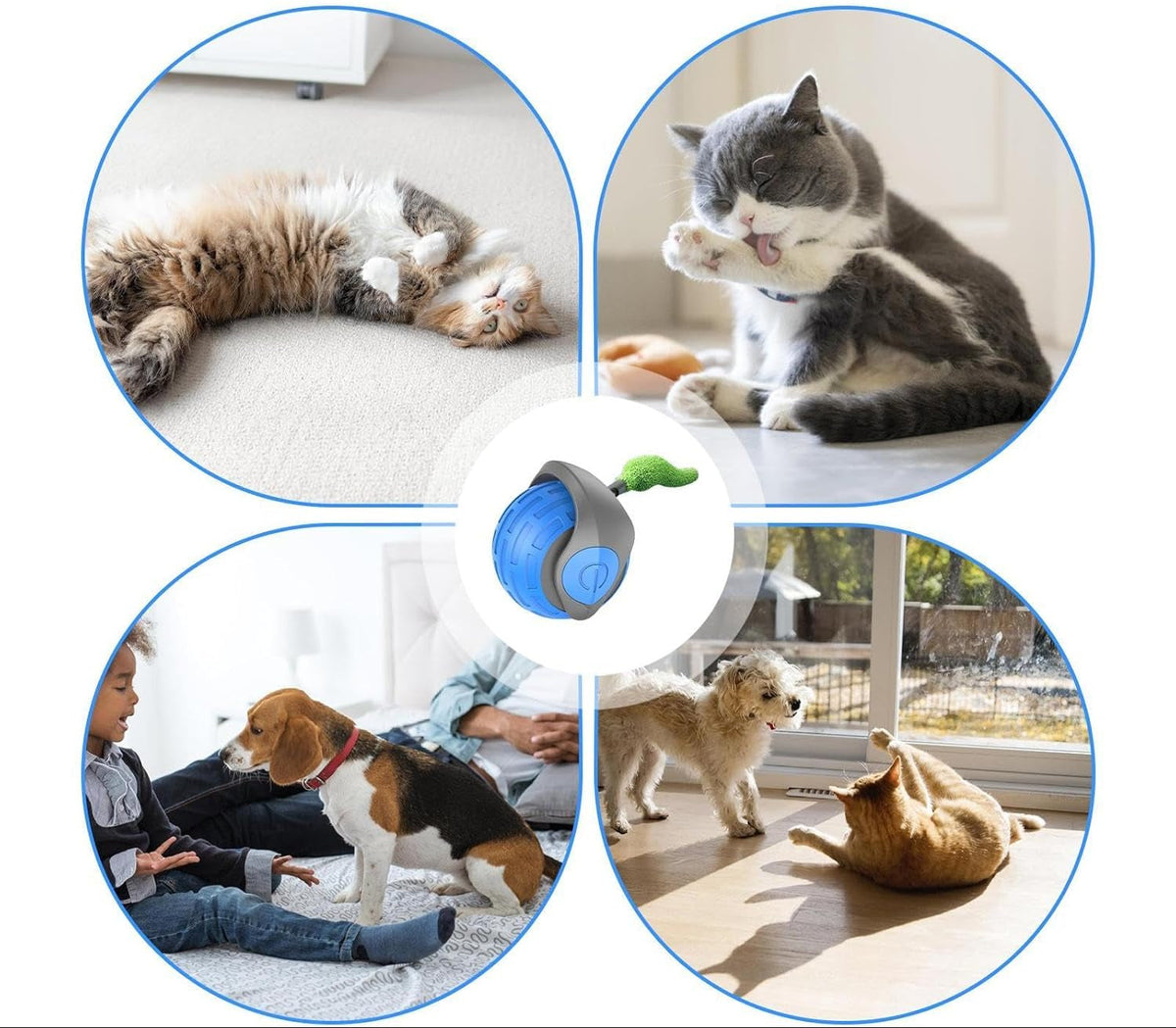 Interactieve Kattenspeelbal met Bewegingssensor en Veer - Autonoom Speelgoed