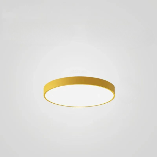 Ronde Plafondlamp Multicolor LED Ultradun 23-60cm Dimbaar Afstandsbediening Woonkamer Slaapkamer Studeerkamer