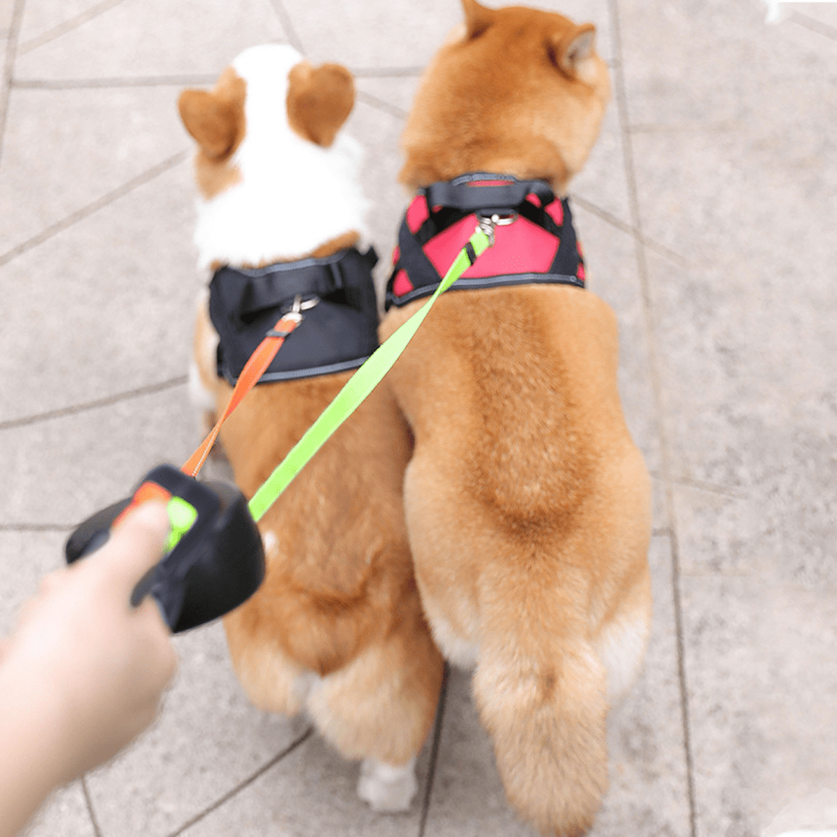 Intrekbare Dubbele Hondenriem met Zaklamp 4 Meter Ontwarringsmechanisme voor Twee Honden Hondenuitlaatriem