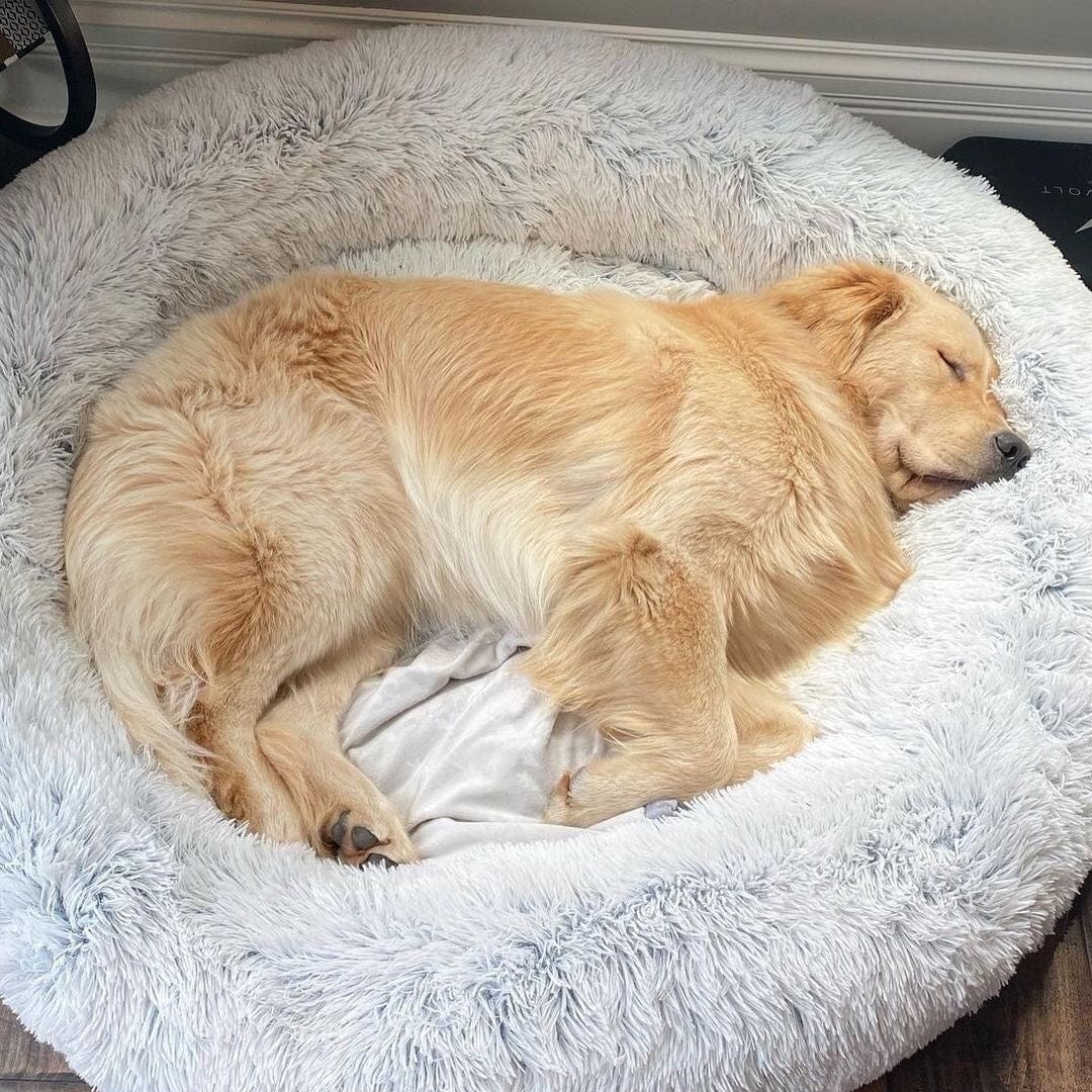 Rond Huisdiermand met Verhoogde Rand Pluche Slaapplaats Hond Kat Comfort Nest Zacht Kussen Warm Bed Rustplek