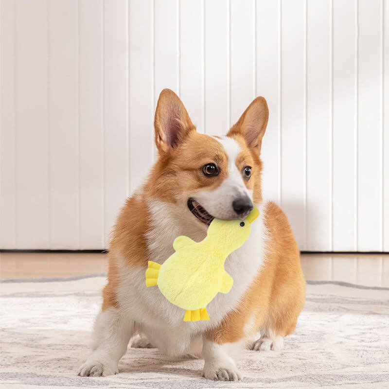 Pluche Eendje Hondenspeelgoed met Pieper Knuffelvriend Zachte Hondenkuuffel Interactief Speelgoed voor Honden