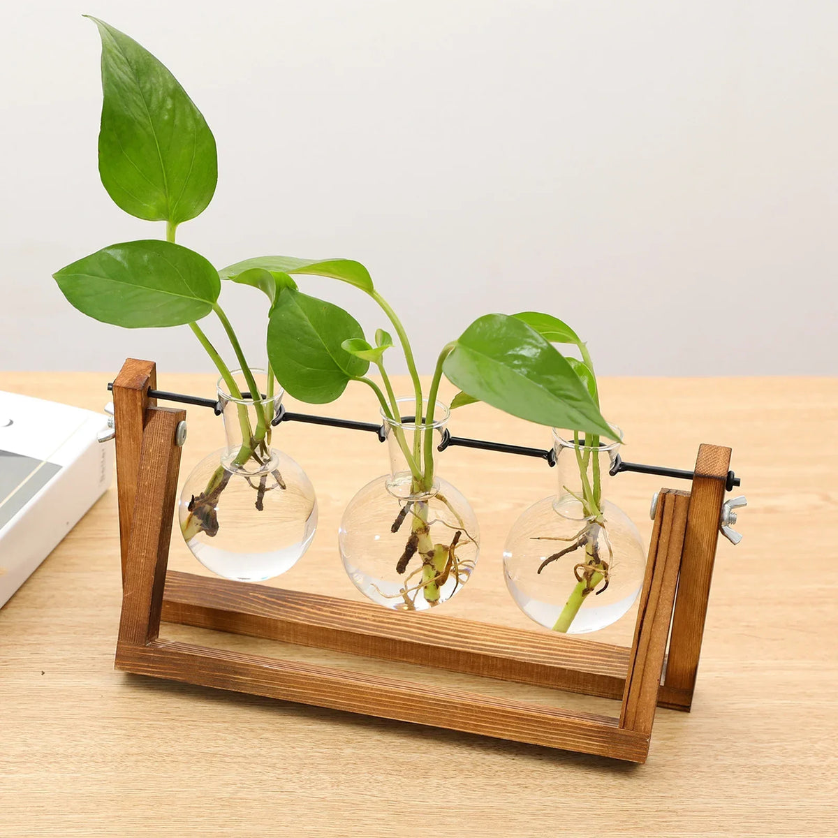 Houten Stekjesstandaard voor Plantenstekjes met Glazen Buisjes | Vintage Decoratie voor Tafel